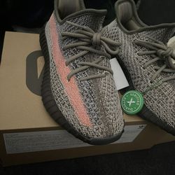 Yeezy Ash Stone