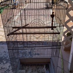 Bird Cage 