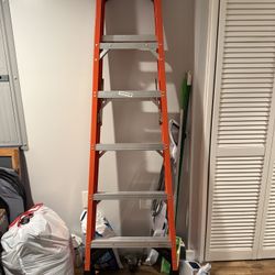 Werner 6ft Fiberglass Step Ladder — 300 lb Capacity (Type IA)