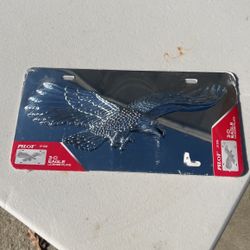 3-D EAGLE LICENSE PLATE