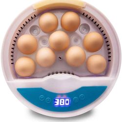 Egg Incubator