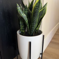 Potted Faux Plant
