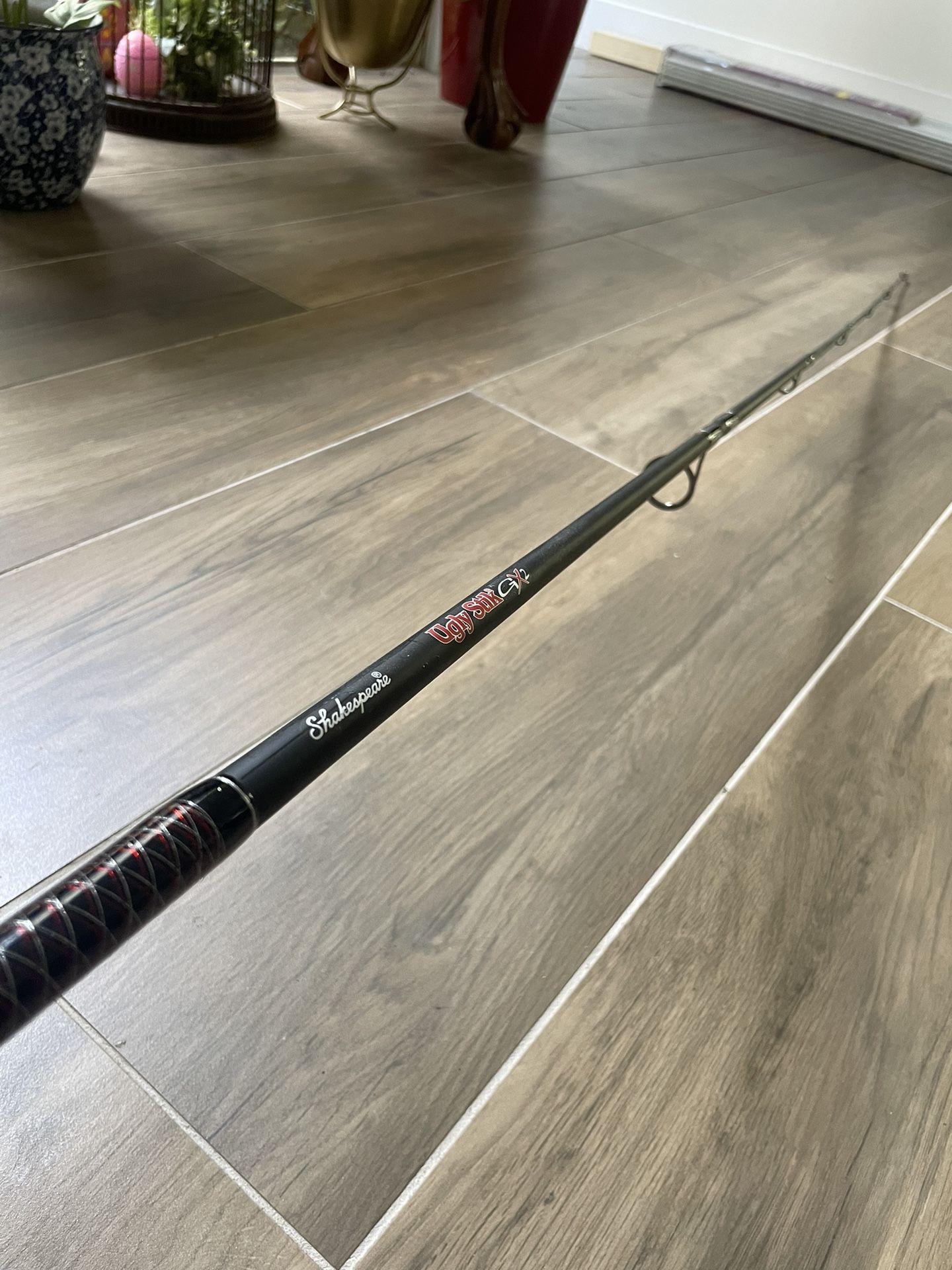 Fishing Rod with Spinning Reel