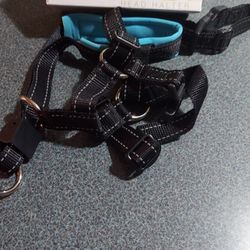 Dog Harnesses