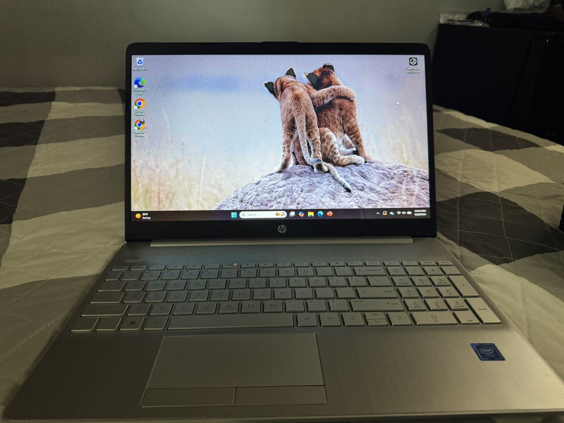 HP 15.6" HD Display Laptop