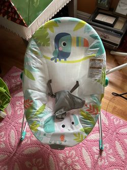 Baby Bouncer 