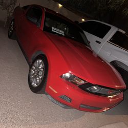 Mustang For Trade Or Sale