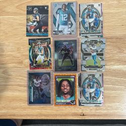 Jacksonville Jags Lot 