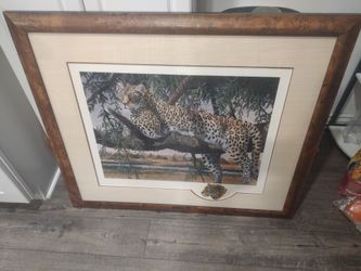 Gary Swanson print of a leopard 38 x 32.5 inches