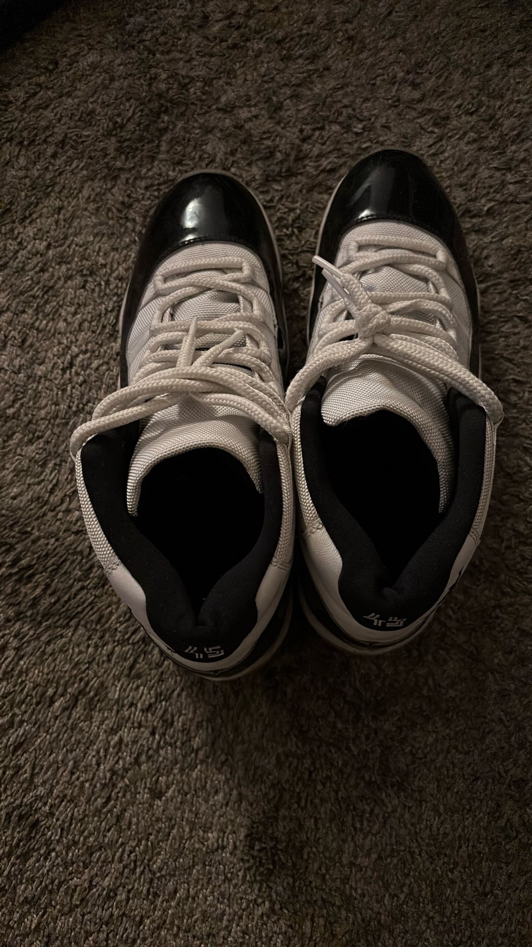 Jordan Concord 11s