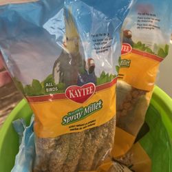 Parakeet Bird Food