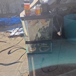 Gecko Cage & Equipment & Food