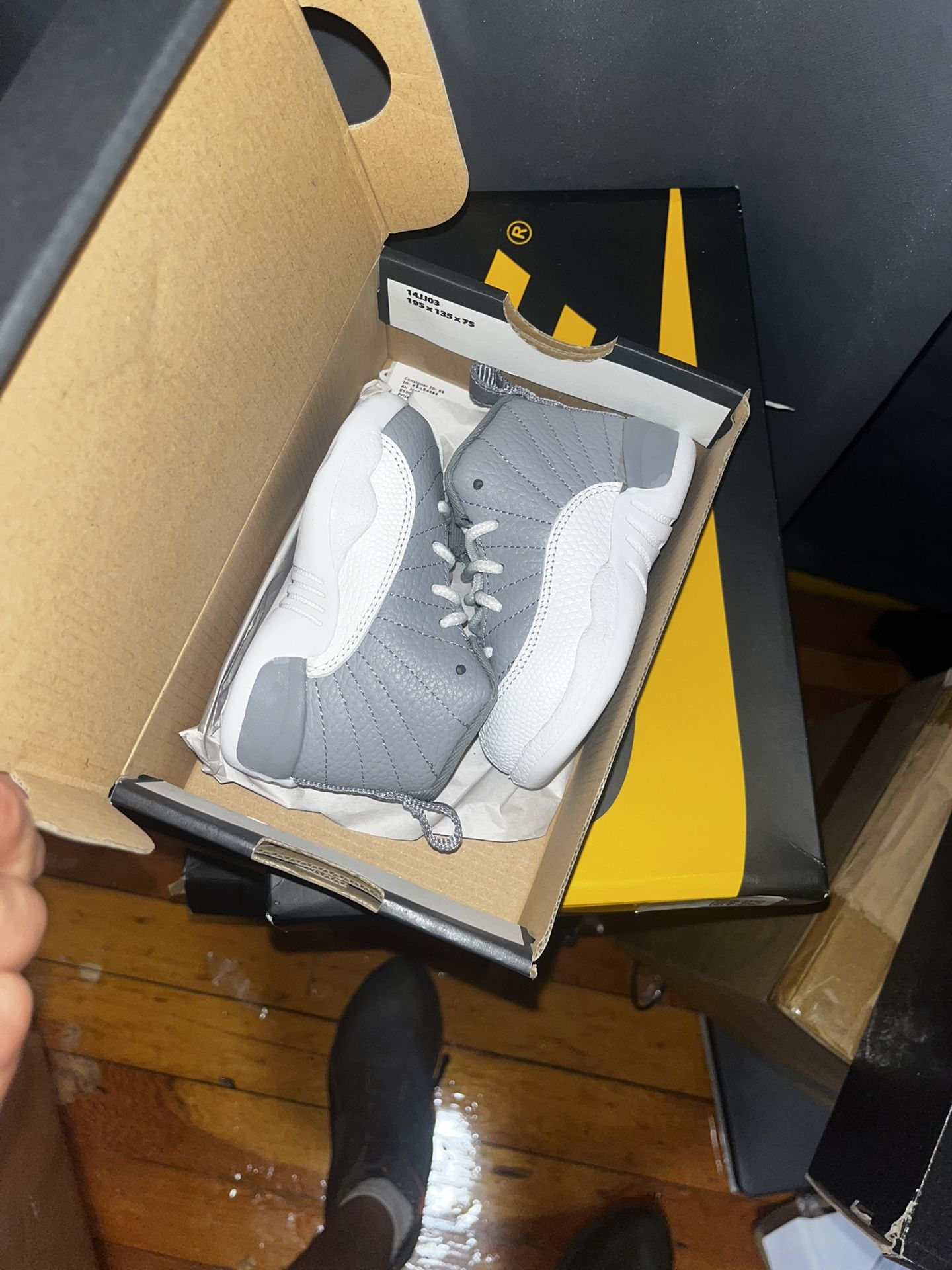 Jordan 12 ‘stealth’