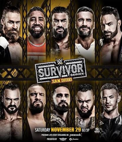 Wwe Survivor Series 2 Tickets Section 109 Row 39
