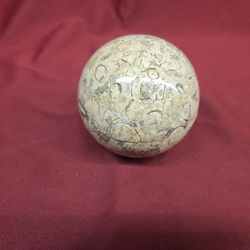 Ball Jar 4 Inch Fossil Stone