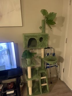 Cat Climber/Sleeper