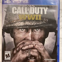 Call Of Duty PS4 Game 