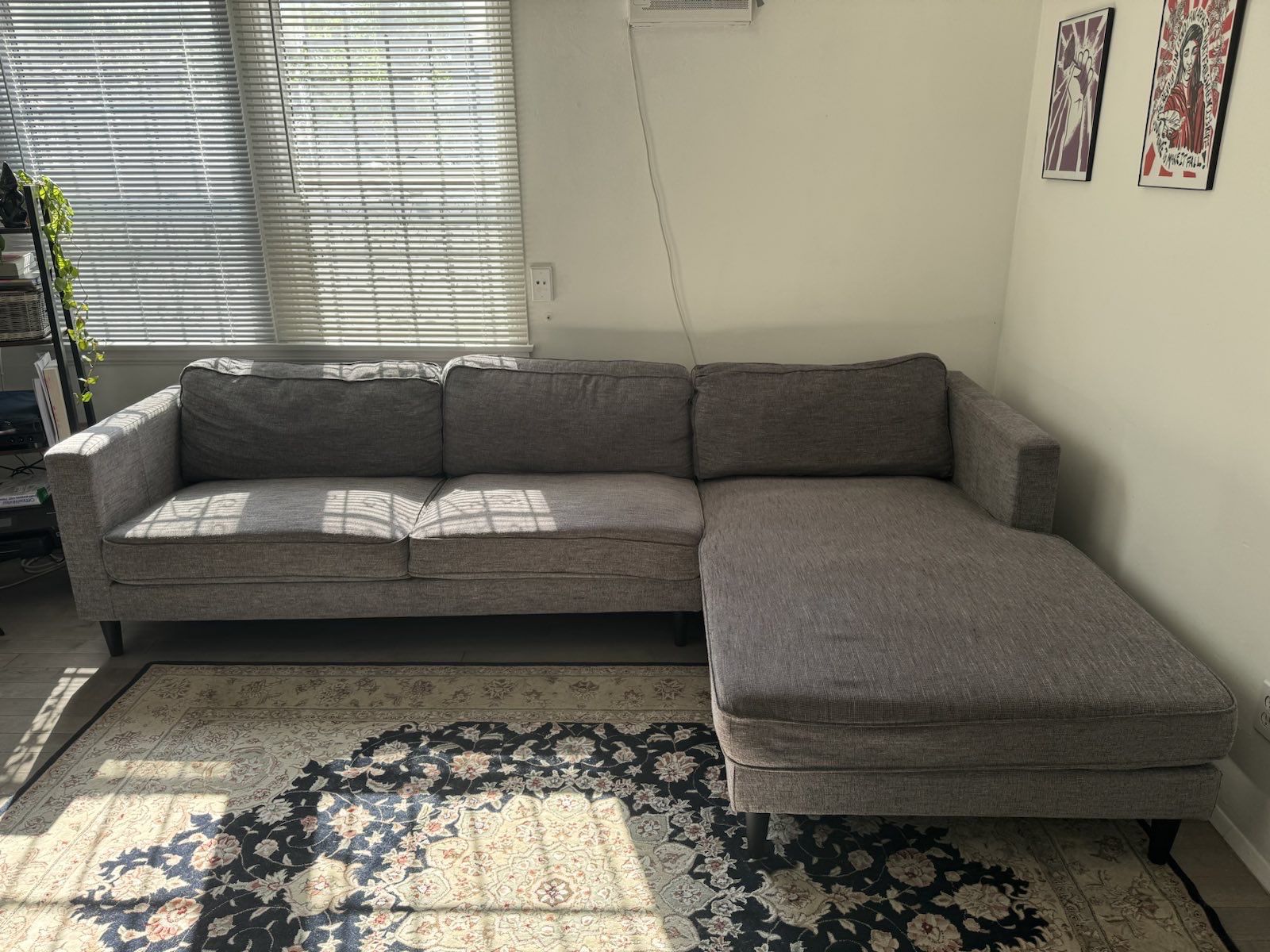 2 piece couch (loveseat and chaise)