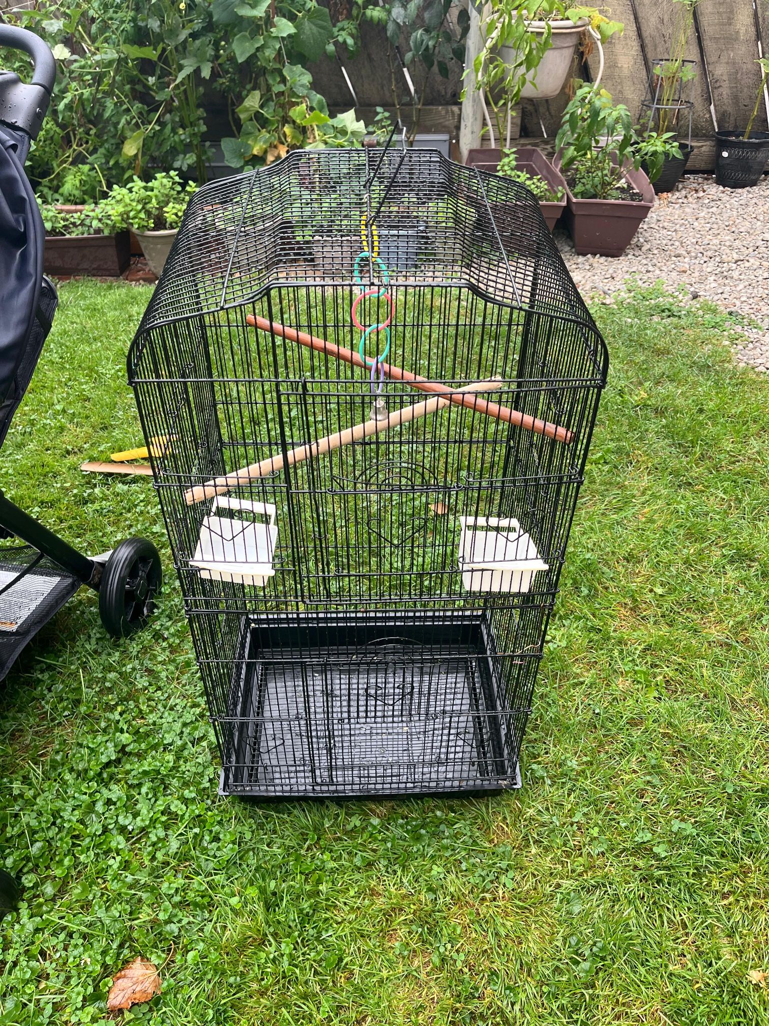 Bird Cage