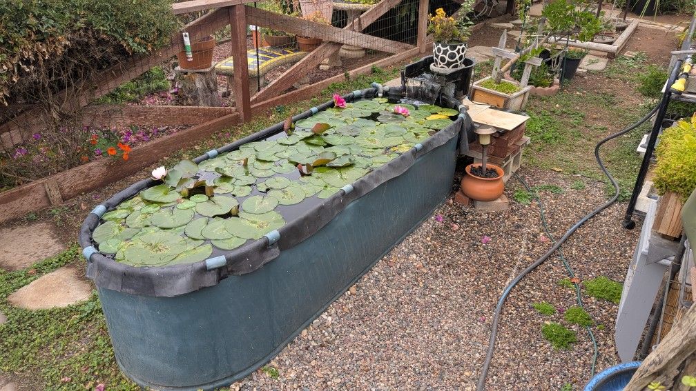 Pond Stock Tank