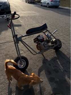 mini bike