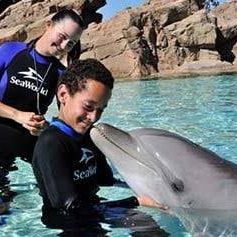 Seaworld **" Tickets 