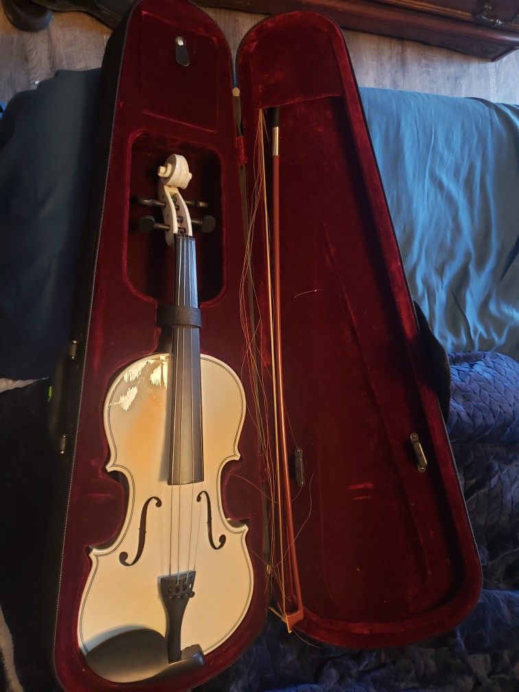Violin