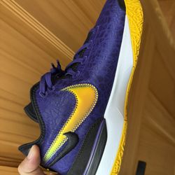 ZOOM LeBron NXXT GEN Size 11