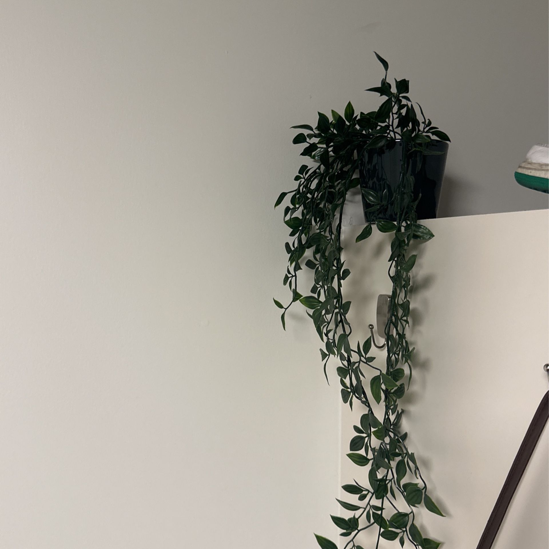 Draping Fake Plant With Green Pot