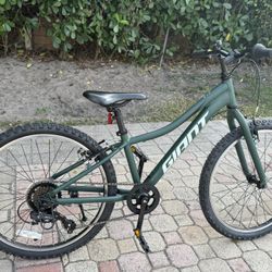 24 GIANT 7 SPEED NEW TIRES  READY TO RIDE ✅