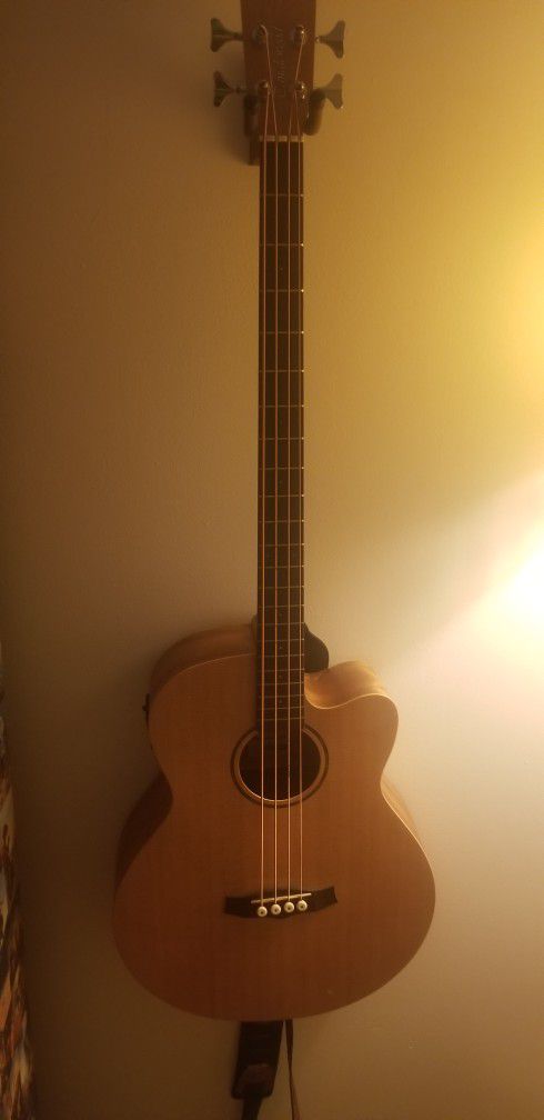 Electro Acoustic Bass