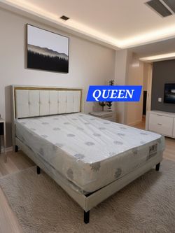 Queen Bedframe And Mattress 