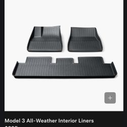 Tesla Model 3 6Pcs Mat