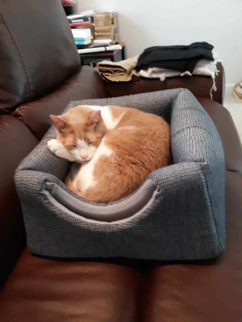 Cat Bed / Cozy House