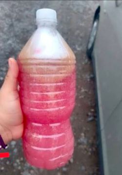 Limpieza de organos , trigliceridos ,colesterol,  mejora la vista y da energia y vitalidad