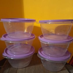 Rubbermaid Take Along 1.4 Medium  set of 6-$11.00