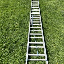 Ladder 40ft