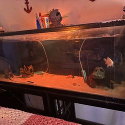 100 Gallon Fish Tank With Metal Stand 