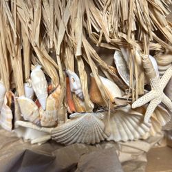 Seashell Garland