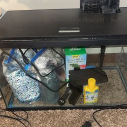 10 Gallon Fish Tank