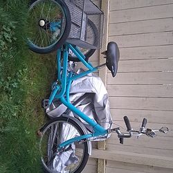 Trike Bicycle