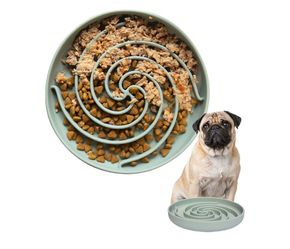 Dog Slow Feeder Bowl