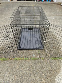 Dog kennel with cage