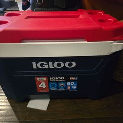 Igloo cooler
