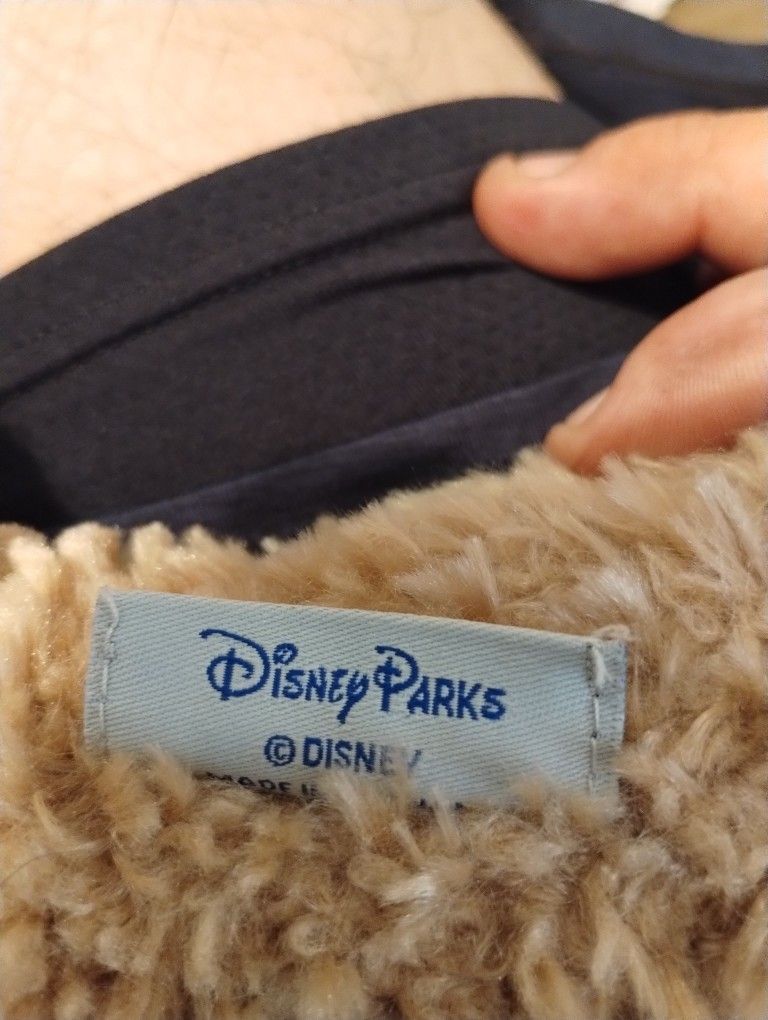Disney Plush Teddy Bear