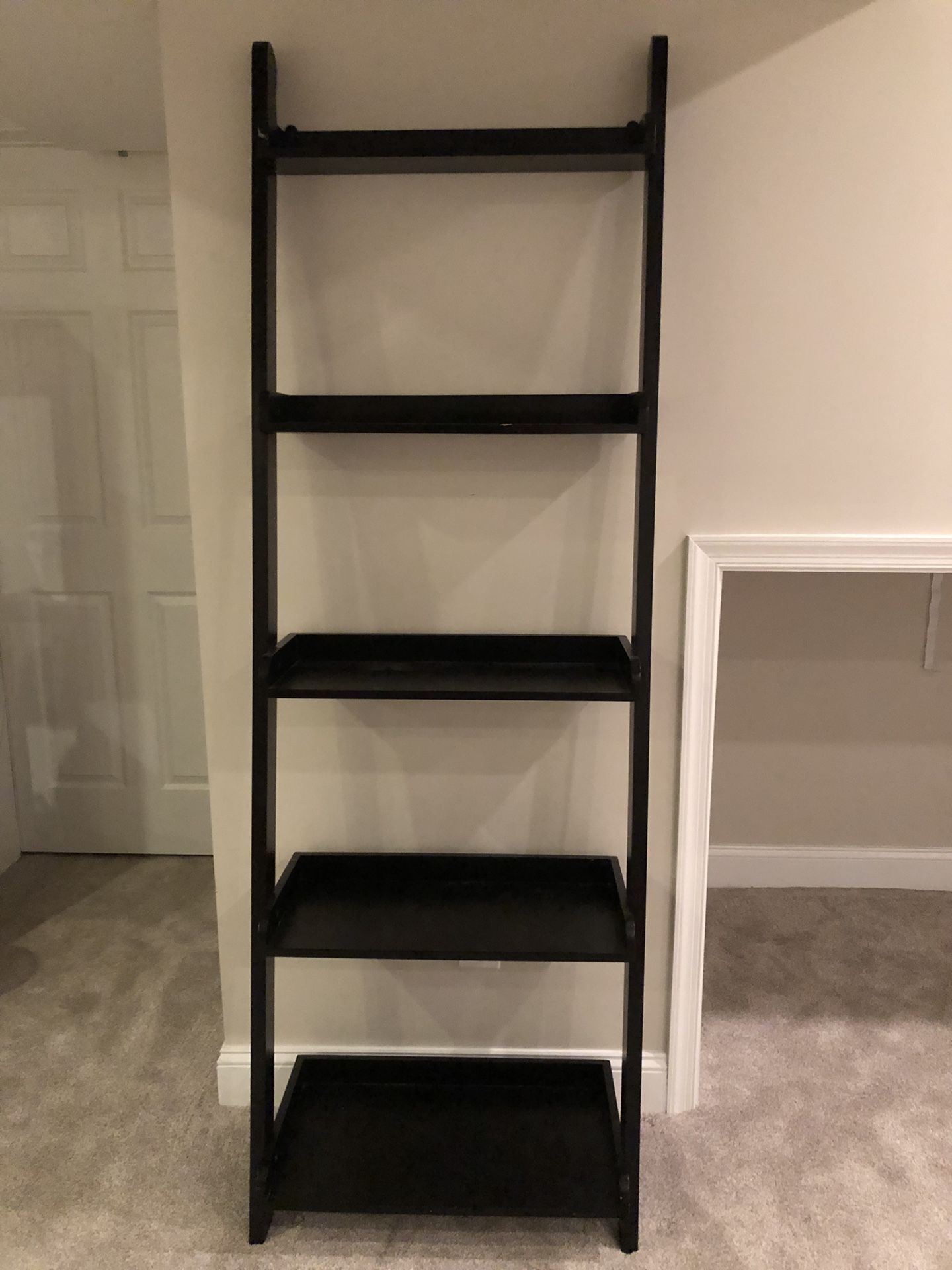 Ladder Bookcases (TWO!)