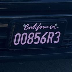 Custom License Plates 