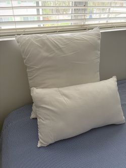 White Pillow Insert Set of 2
