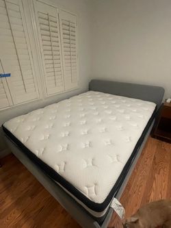 Queen bed and frame