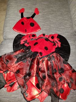 Baby girl ladybug costume